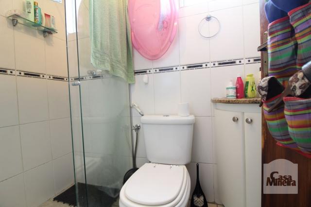 Apartamento à venda com 4 dormitórios em Calafate, Belo horizonte cod:240539 - Foto 11