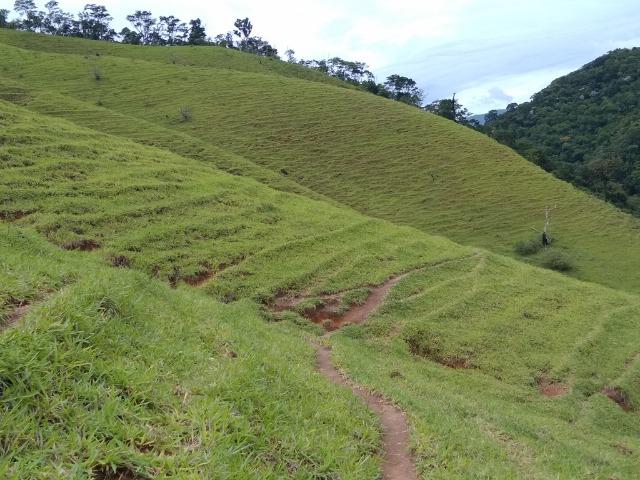 Fazenda de 30 alqueires ou 1.440.000 m² Casimiro de Abreu, RJ - Foto 10
