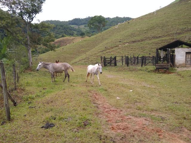 Fazenda de 150 alqueires ou seja 7.200.000 m² em Casimiro de Abreu, RJ - Foto 14