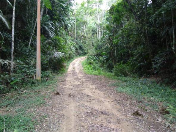 Terreno à venda, 3020 m² por r$ 56.000 - fazenda boa fé - teresópolis/rj - Foto 2