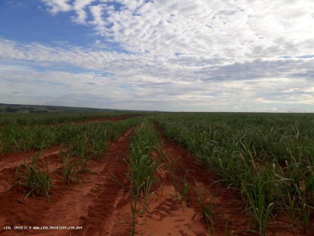 Fazenda para venda em estrela do norte, zona rural, 3 dormitórios, 1 suíte, 1 banheiro - Foto 10