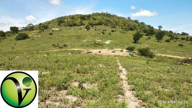 Areá com 65 Hectares nas Margens da Pista de Mandacaru em Gravatá-PE - Foto 8