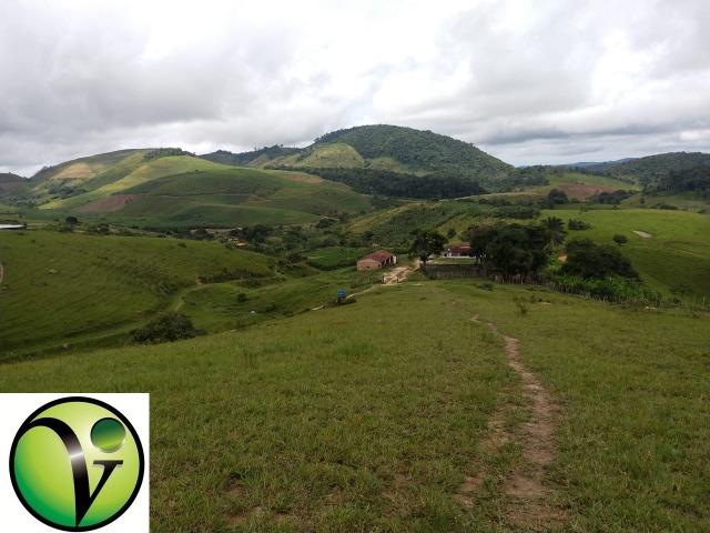 Temos Sua Fazenda de 65 hectares a 1.200 Hectares na Região de Pernambuco/PE - Foto 9