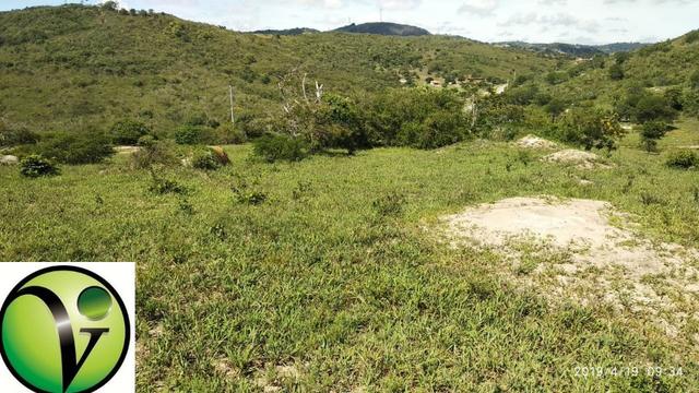 Areá com 65 Hectares nas Margens da Pista de Mandacaru em Gravatá-PE - Foto 12