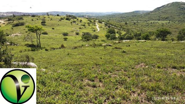 Areá com 65 Hectares nas Margens da Pista de Mandacaru em Gravatá-PE - Foto 10