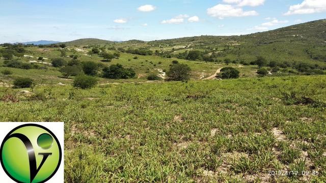Areá com 65 Hectares nas Margens da Pista de Mandacaru em Gravatá-PE - Foto 14