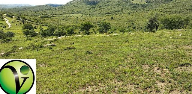 Areá com 65 Hectares nas Margens da Pista de Mandacaru em Gravatá-PE - Foto 16