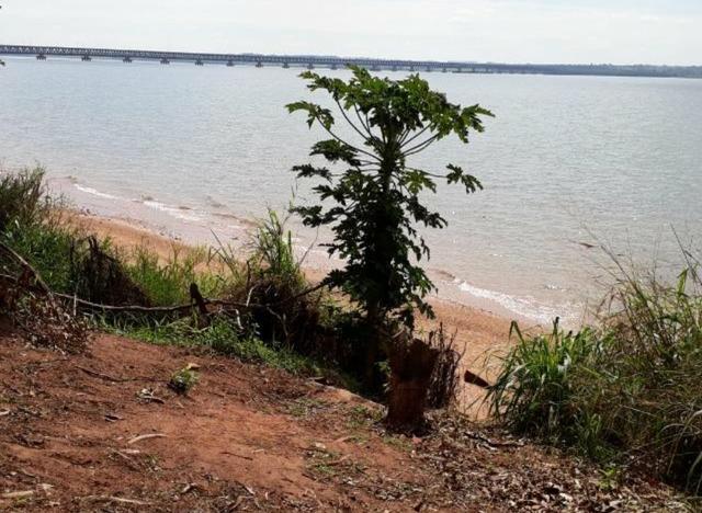 Lote Arara Vermelha Aparecida Taboado Ms, para Rancho** área de camping e piscina - Foto 8