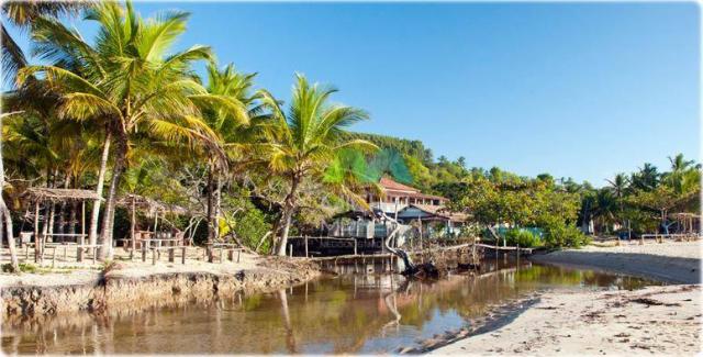 Terreno de 14.000m² - frente para o mar - cumuruxatiba - bahia - Foto 13