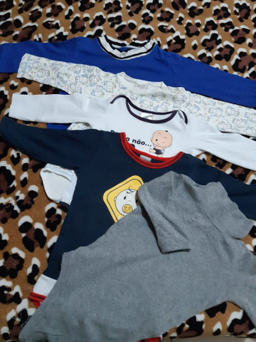 Lote de inverno