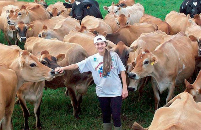 Gado de corte parcelado no carnê sem juros - Foto 2
