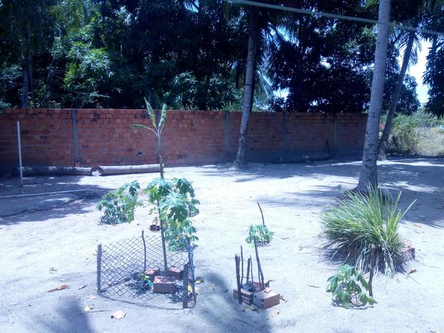 Vendo um Sítio em Tibumba - Foto 18