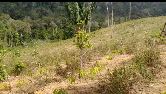 V/t terreno na Bahia - Foto 3