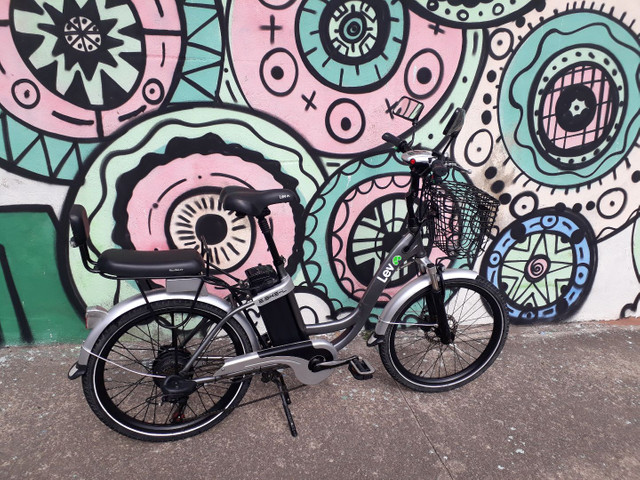 Bicicleta elétrica Ebike L