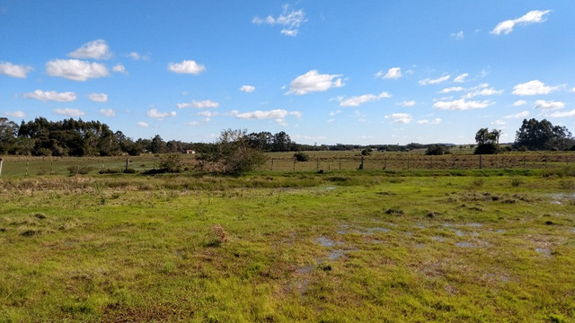 SSV Imóveis Apresenta, 2.550 m2, 1 km da RS 040, veja - Foto 2
