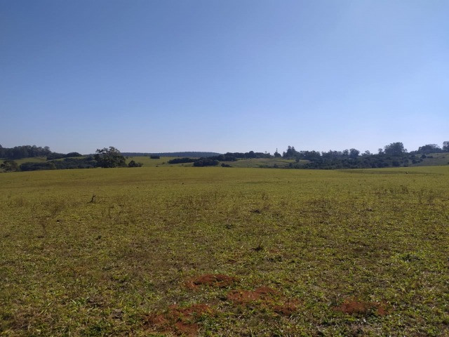 Velleda oferece linda fazenda 70 hectares 10 km da RS-040, aproveita 100% - Foto 3