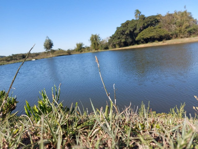 Velleda oferece espetacular sítio 2 hectares para lazer e moradia, ac troca - Foto 9