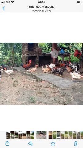 Sítio  em Maranguape, Presente de Natal! - Foto 6