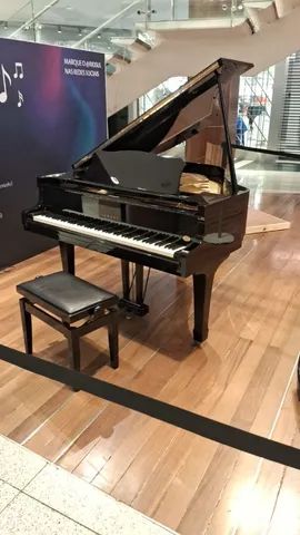 Piano de cauda para locação 