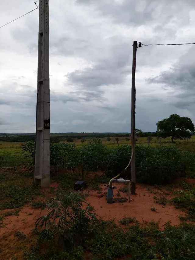 Fazenda de 183 Hectares Camapuã Ms! - Foto 5