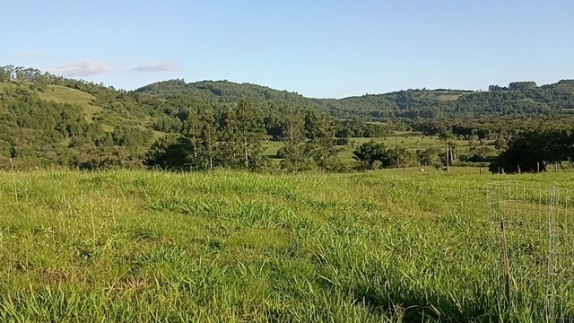 Chácara com 2 Hectares com arroio  - Foto 3