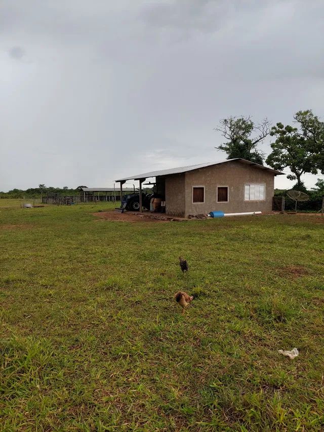 Fazenda de 183 Hectares Camapuã Ms! - Foto 4