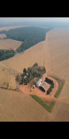 Fazenda de 3.580 hectares em Ipiranga do Norte-MT - Foto 5