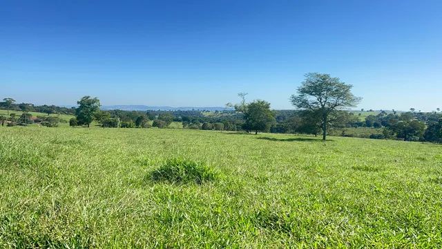 40 alqueires em Trindade-GO  - Foto 5