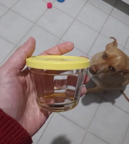 Tigela de vidro com tampa de plástico - Foto 4