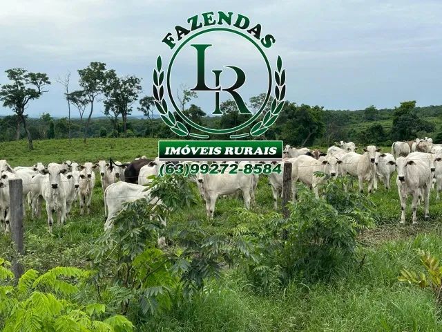 Fazenda 512 Alqueires Dupla Aptidão