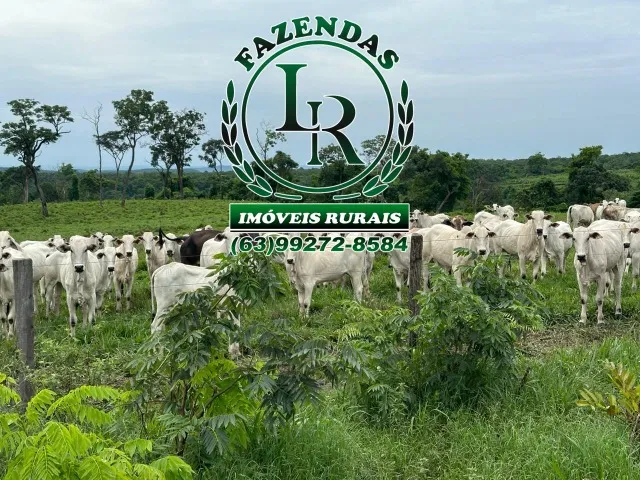 Fazenda 512 Alqueires Dupla Aptidão