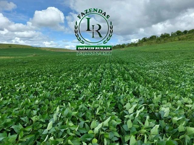 Fazenda 400 alqueires Plantando Próximo de Palmas - Foto 3