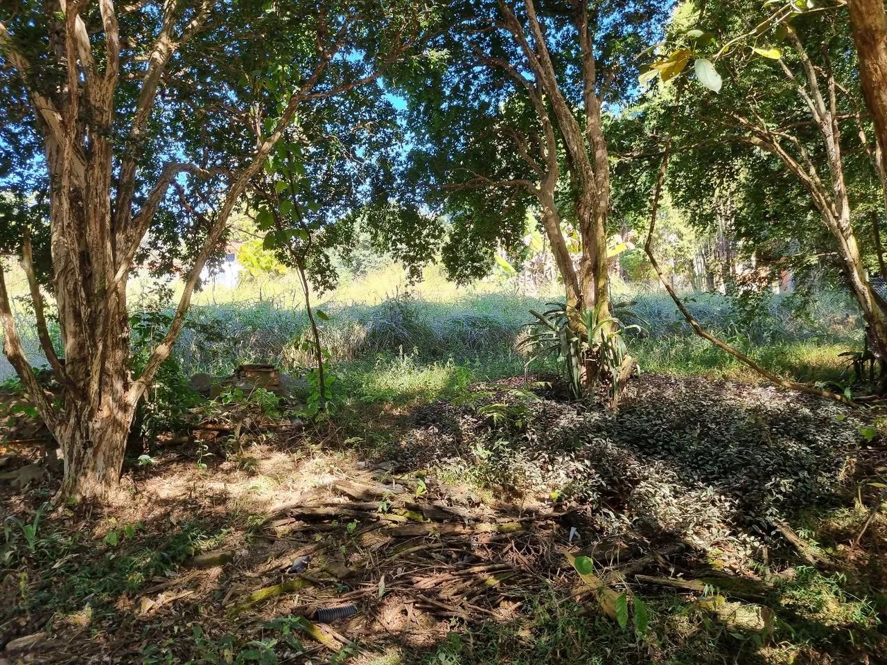 CHÁCARAS NATUREZA, AO LADO DO STA MÔNICA & ARARAS-SP - Foto 3