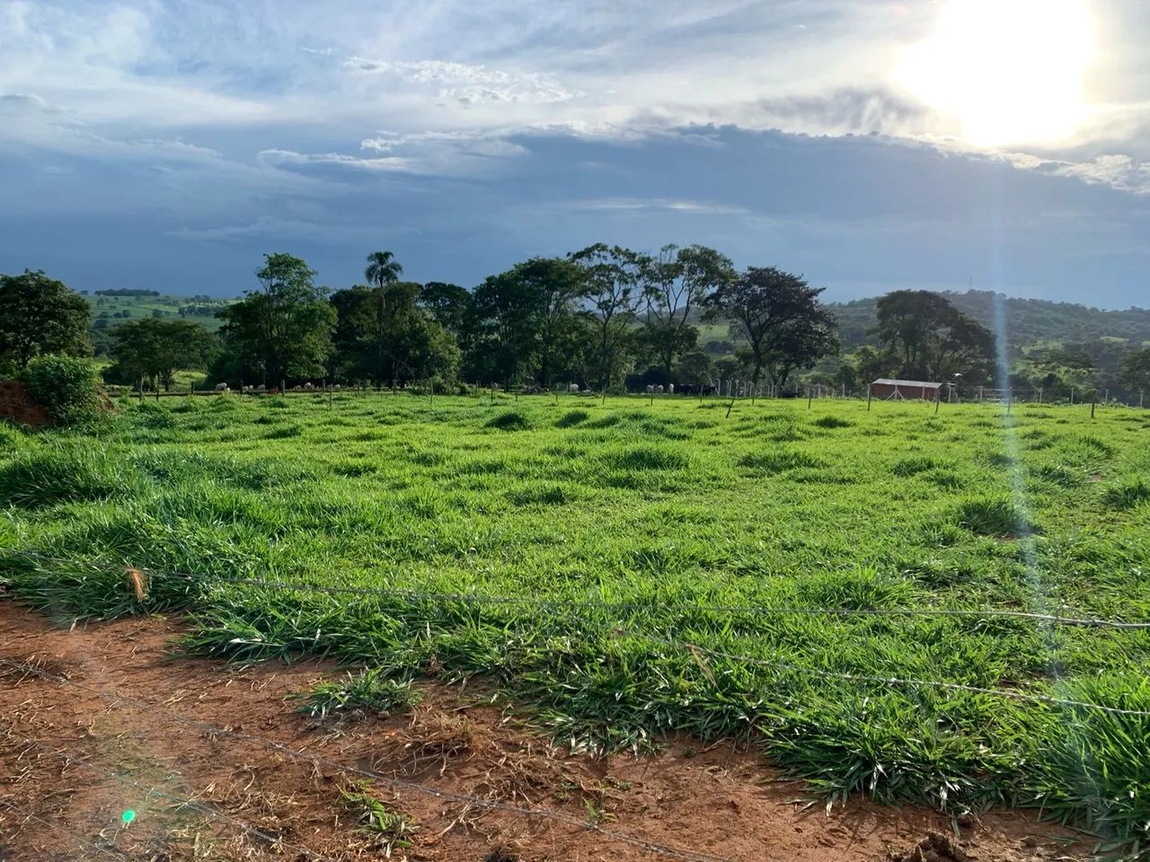 foto - Goiânia - Residencial Orlando Morais