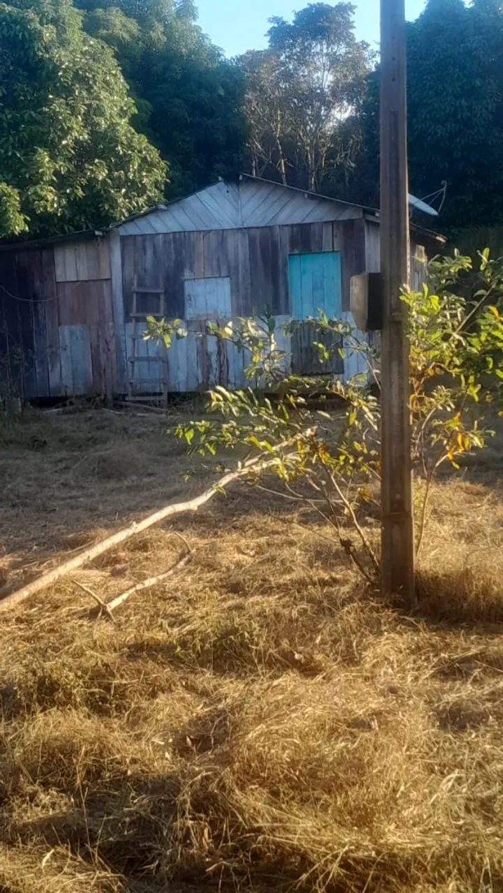Vende-se essa colônia