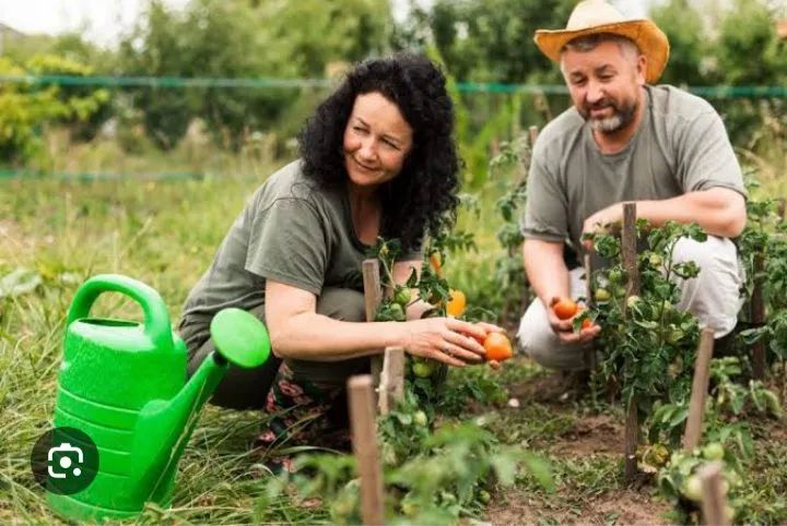 CONTRATA-SE CASAL DE CASEIROS