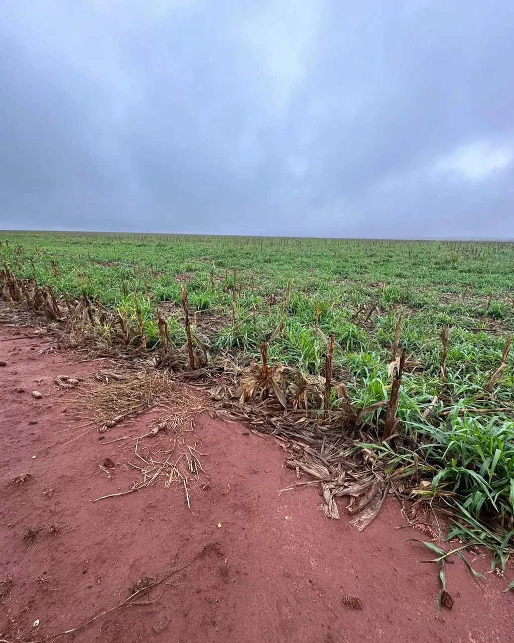 FAZENDA COM 838 ALQUEIRES (2.028há) NA REGIÃO DE NAVIRAI - MS