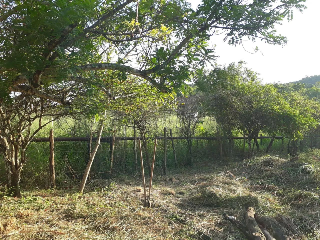 Vende se sítio  - Foto 14