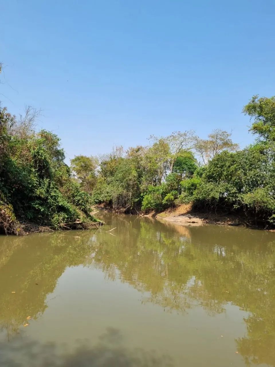 Sítio às margens do Rio Turvo - Foto 2