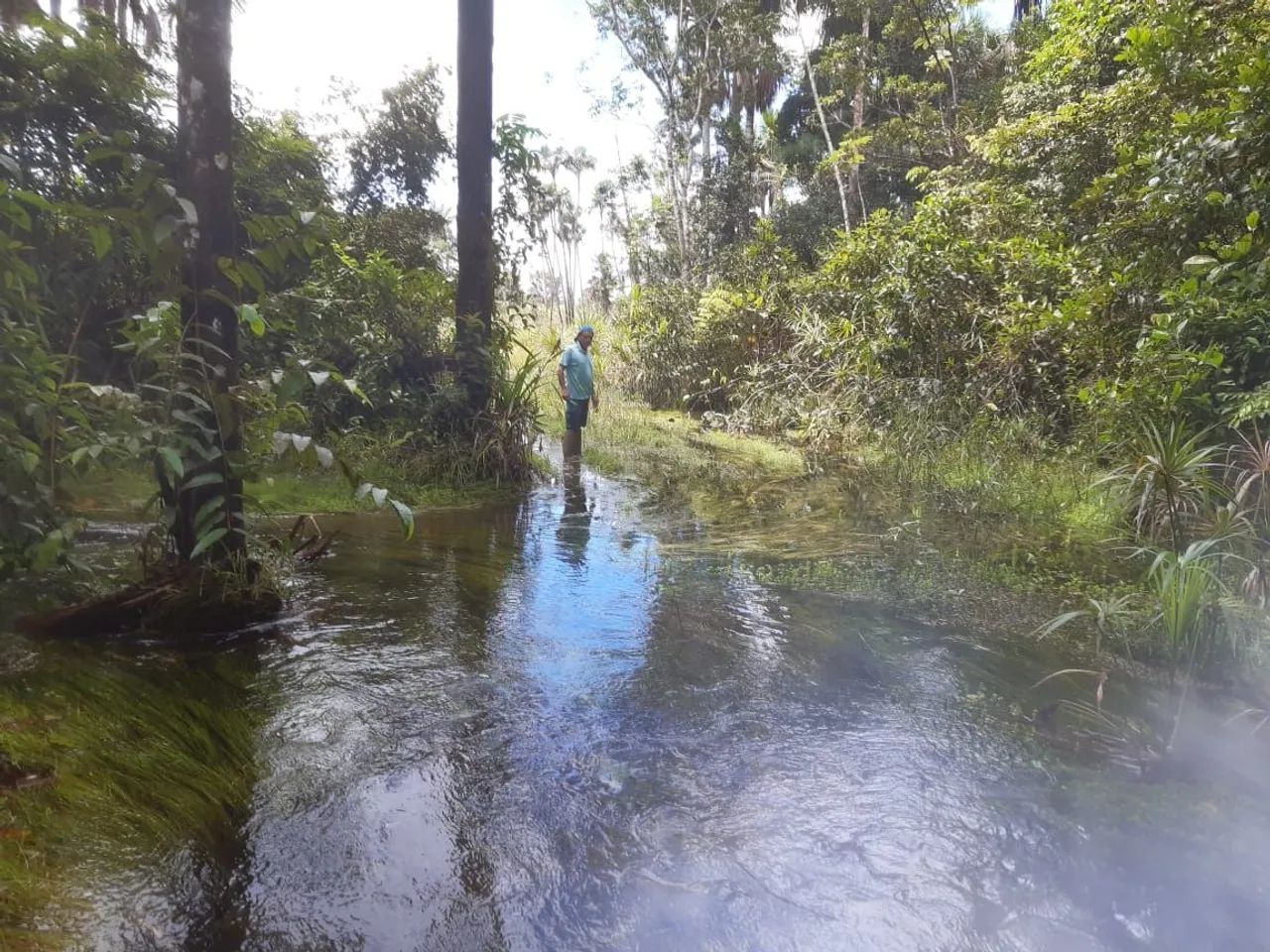 AREA DE 400HA PARA O AGRO. - Foto 6