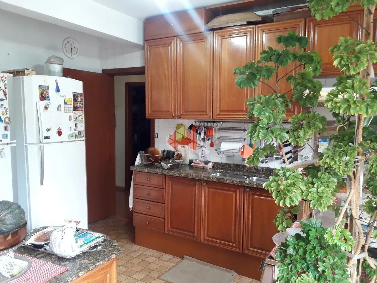 Terreno 11 x 125 à venda no miolo da Tristeza Porto Alegre - Foto 12