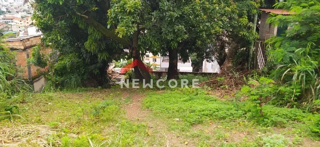 Lote em Rua Horizonte - Paraíso - Belo Horizonte/MG