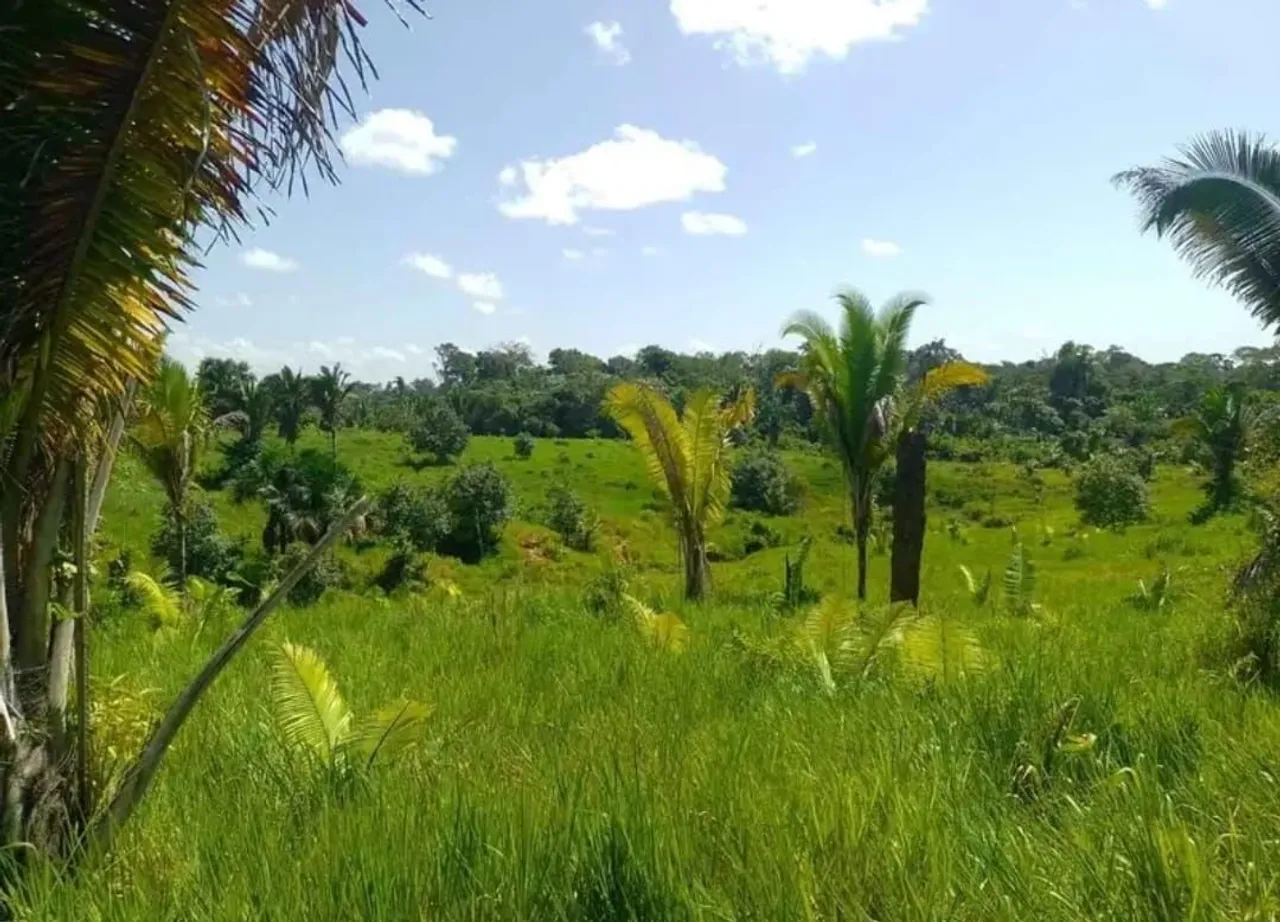 FAZENDA
