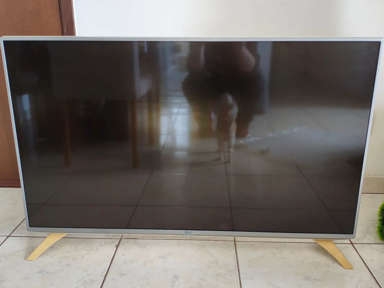TV LG 49 polegadas (não é Smartv)