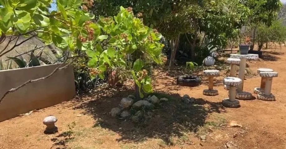 Chácara com Casa e Área de Lazer - Foto 8