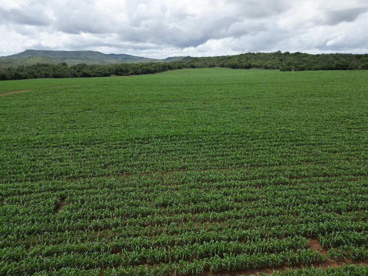 Fazenda dupla aptidão Piauí