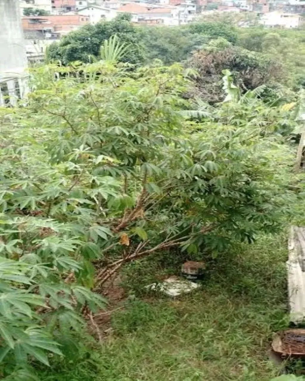 Terreno - Cidade Intercap - 220,00m² de área total - Foto 3