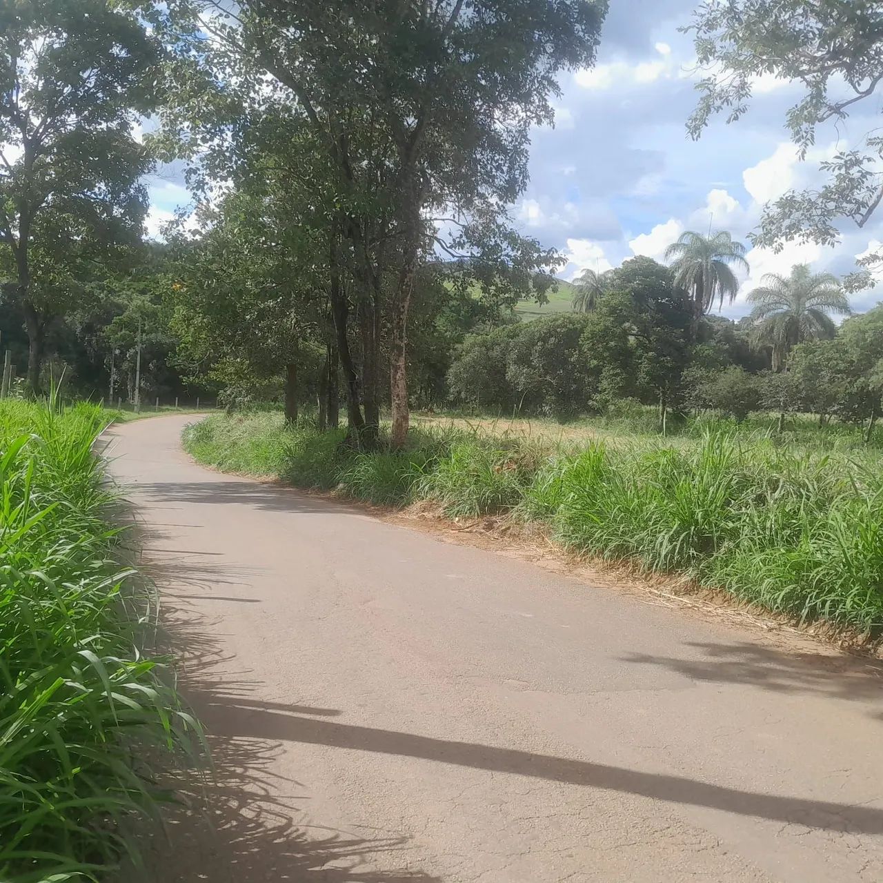Chacaras rurais em sitio novo  - Foto 3