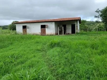 Vende-se fazenda com 353 tarefas com água em abundância em Catú/Ba
