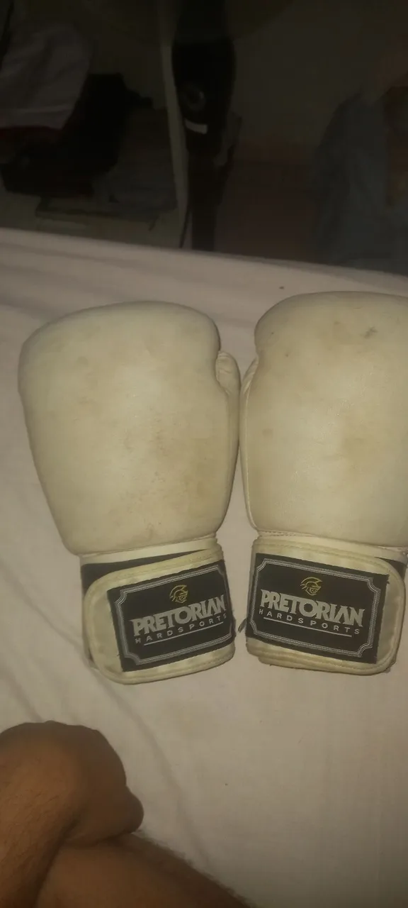 Luvas de Boxe Pretorian Hard Sports